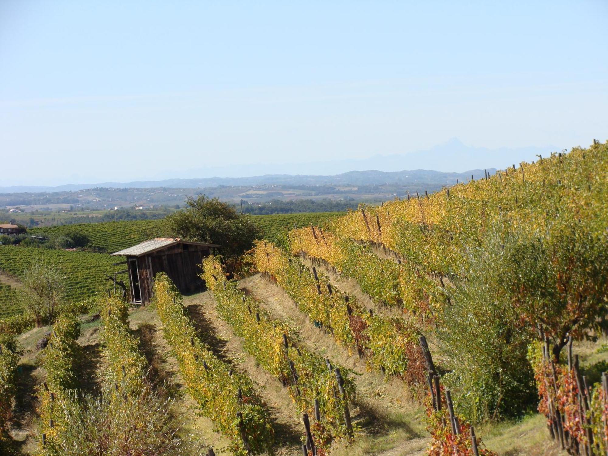 Agriturismo Cascina Degli Ulivi Novi Ligure Exterior foto